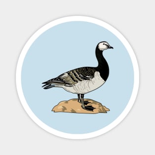 Barnacle Goose Magnet